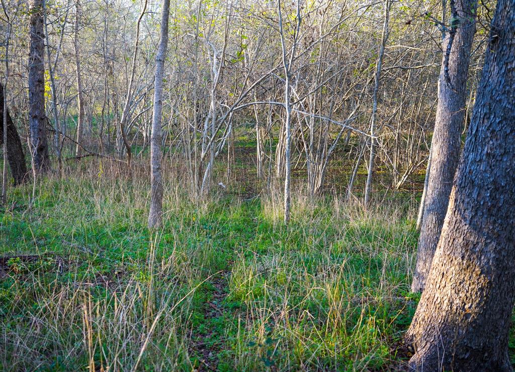 Harpers Church Road, Hempstead, Texas image 10