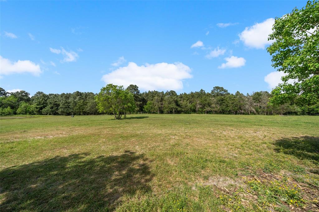 141 Robinson Road, Huntsville, Texas image 42