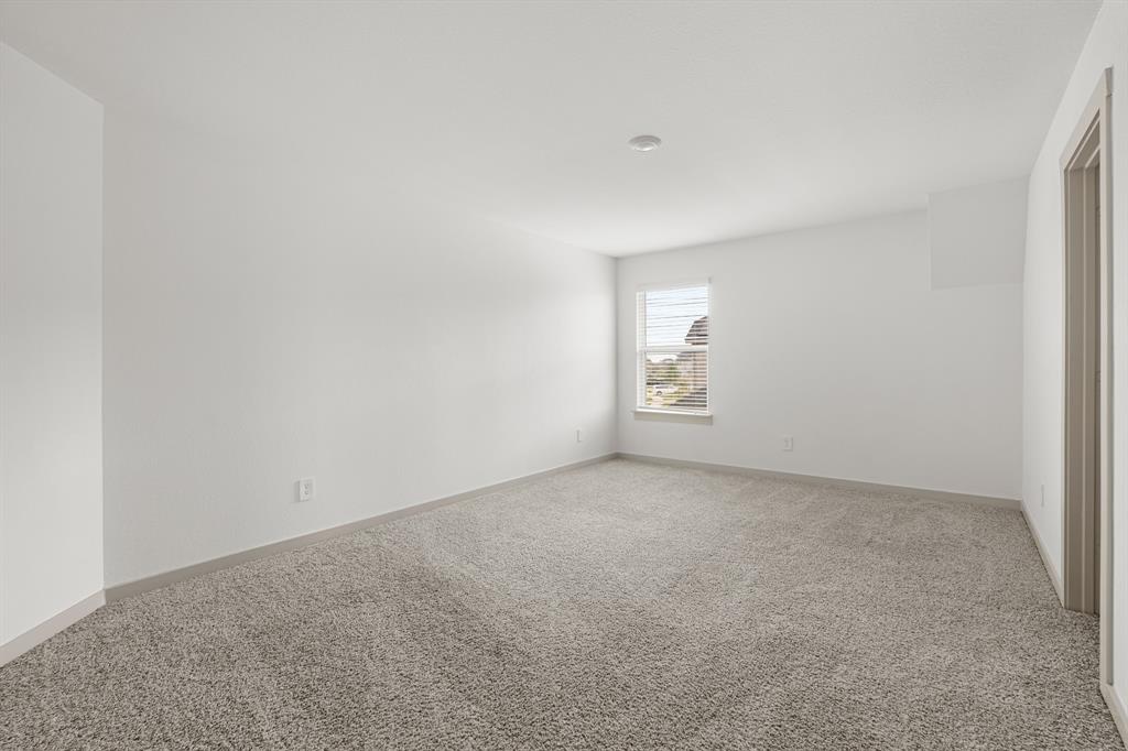 29231 Red Rocks Park Drive, Katy, Texas image 22