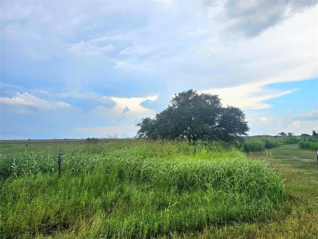 200 County Road 262, Ganado, Texas image 9