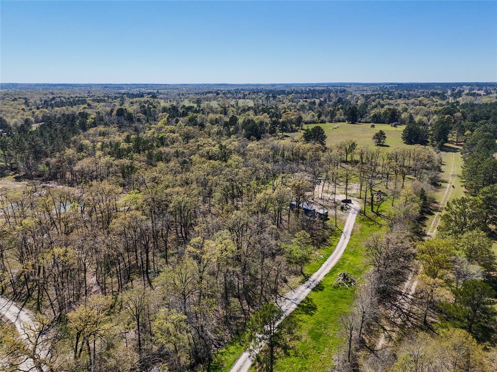 625 Birdwell Road, Bedias, Texas image 37