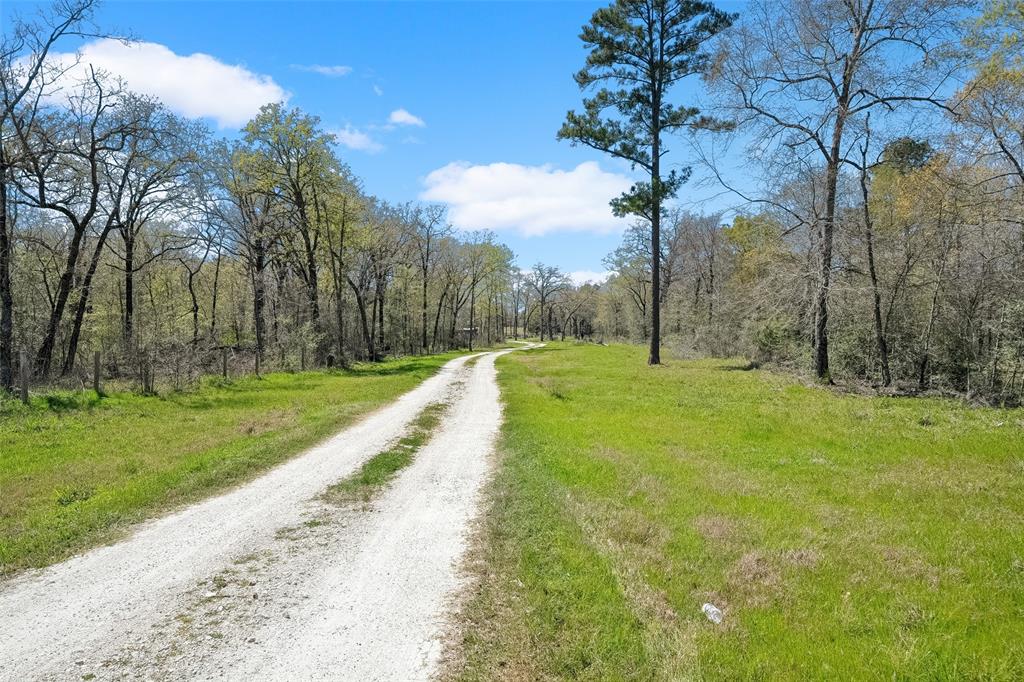 625 Birdwell Road, Bedias, Texas image 42