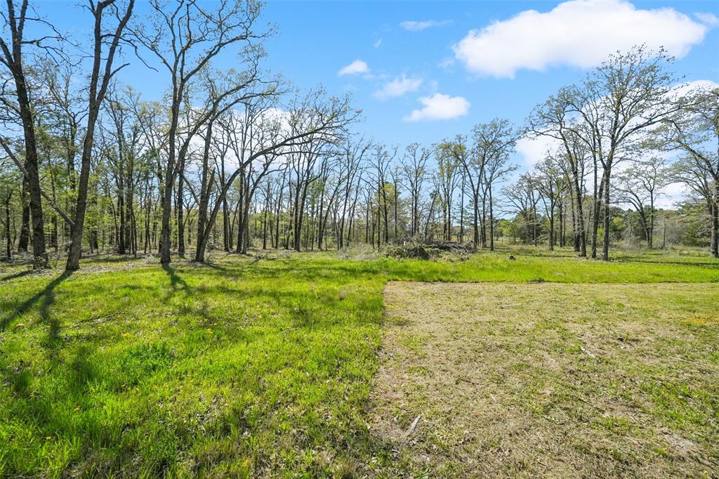 625 Birdwell Road, Bedias, Texas image 44