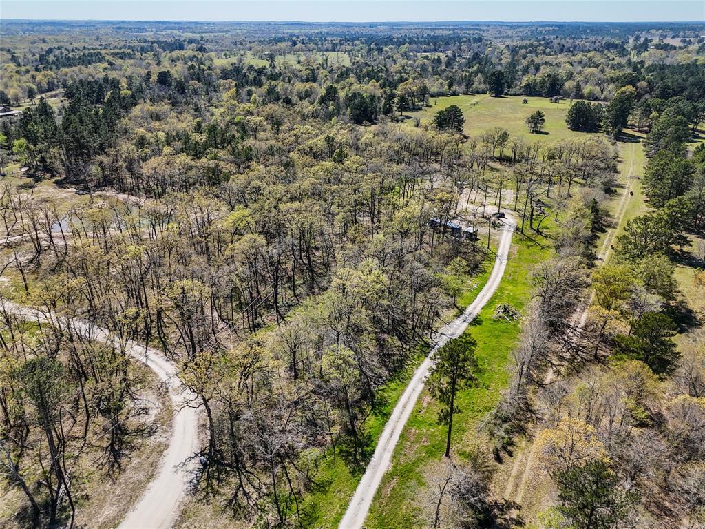 625 Birdwell Road, Bedias, Texas image 38