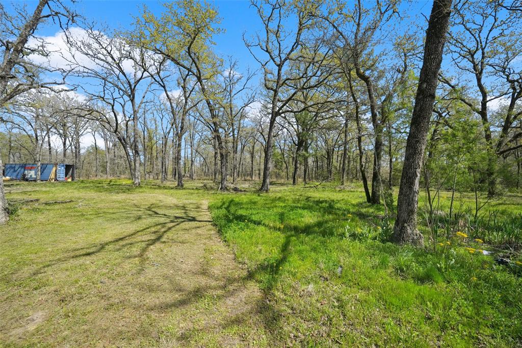 625 Birdwell Road, Bedias, Texas image 45