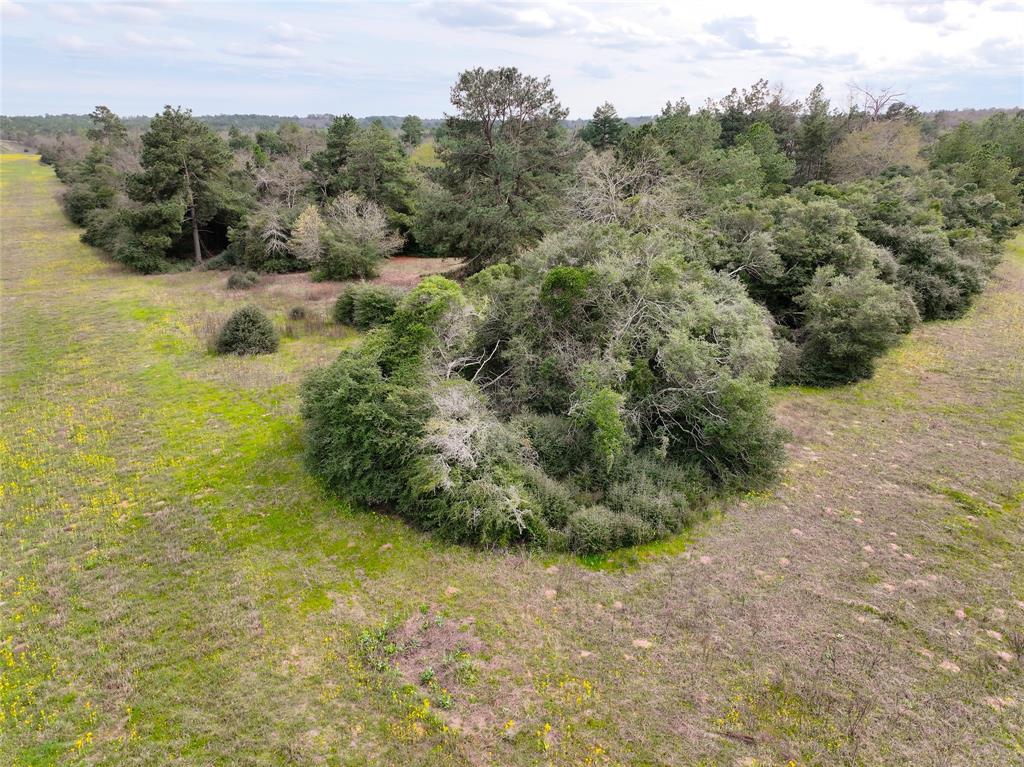 Lot 98 Pr 1315, Centerville, Texas image 8