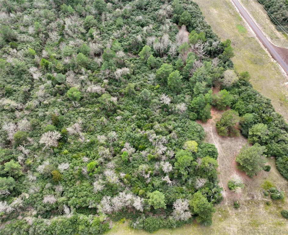 Lot 98 Pr 1315, Centerville, Texas image 7