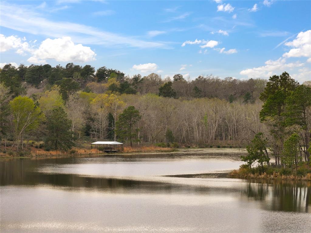 Lot 98 Pr 1315, Centerville, Texas image 15