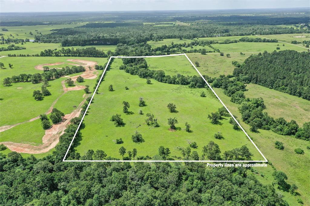 42.5 +/- Acres Jc Walker Loop, Bedias, Texas image 8
