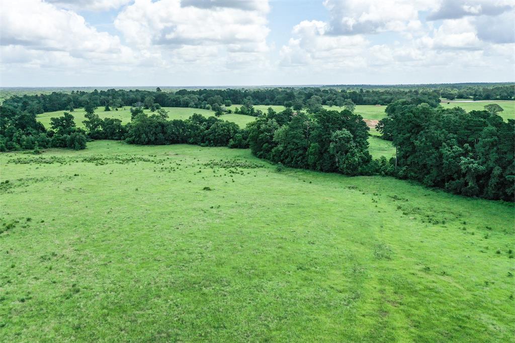 42.5 +/- Acres Jc Walker Loop, Bedias, Texas image 7