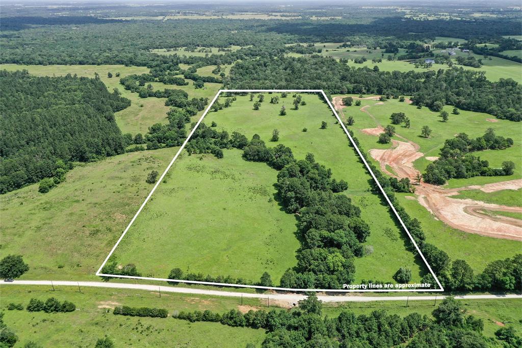 42.5 +/- Acres Jc Walker Loop, Bedias, Texas image 1