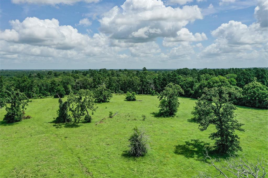 42.5 +/- Acres Jc Walker Loop, Bedias, Texas image 5