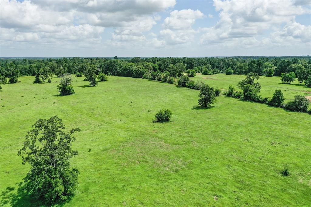 42.5 +/- Acres Jc Walker Loop, Bedias, Texas image 3