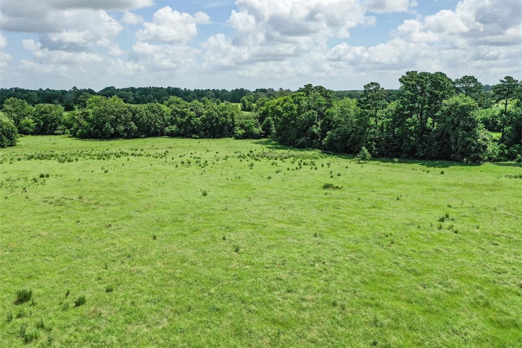 42.5 +/- Acres Jc Walker Loop, Bedias, Texas image 2