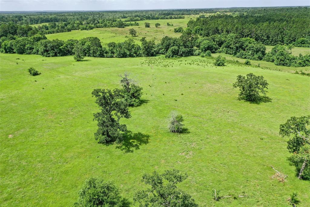 42.5 +/- Acres Jc Walker Loop, Bedias, Texas image 4
