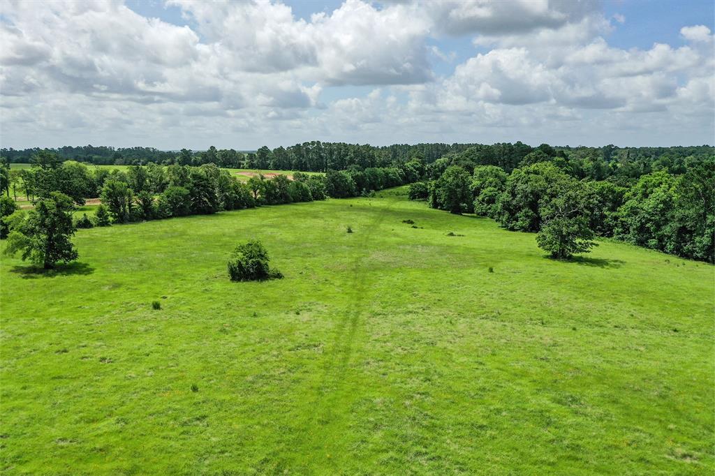 42.5 +/- Acres Jc Walker Loop, Bedias, Texas image 6