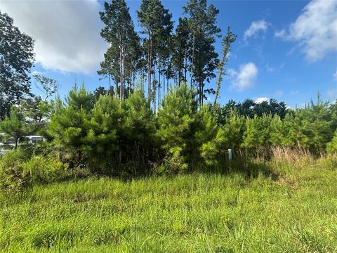 Photo of 794 Road 5252, Cleveland, TX 77327 (MLS # 6723106)