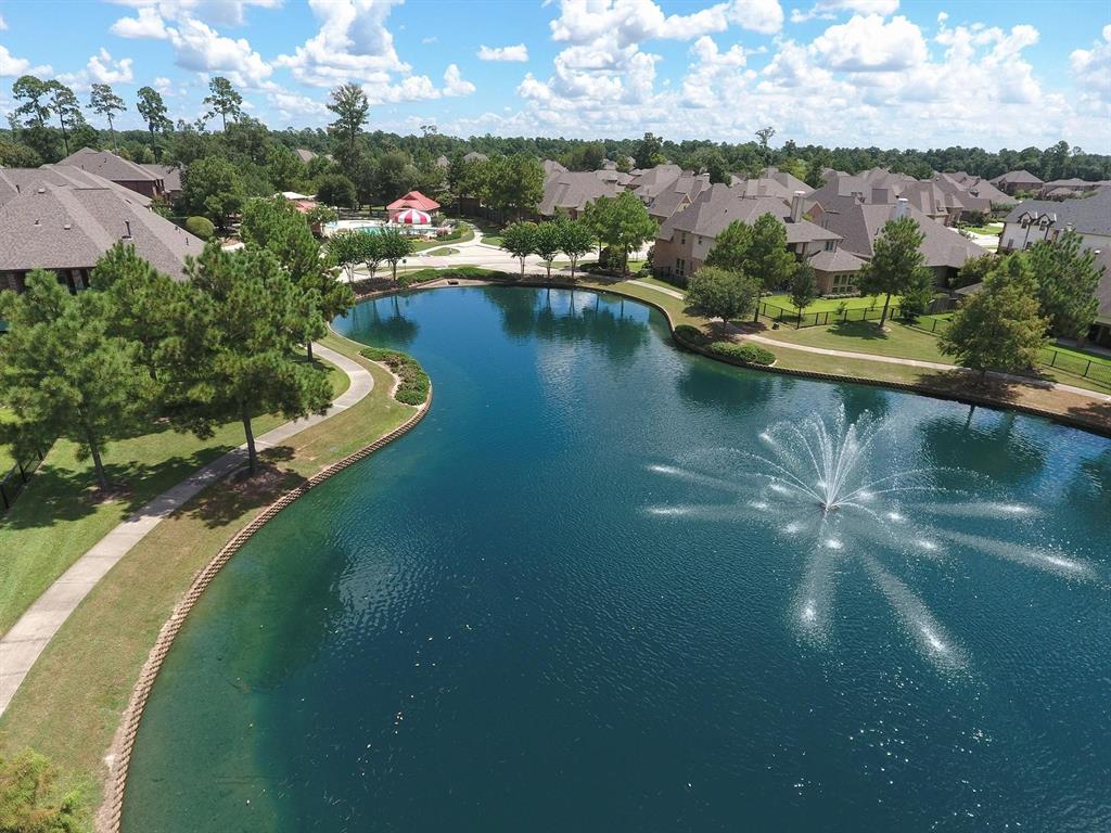 18618 Arlan Lake Drive, Spring, Texas image 8