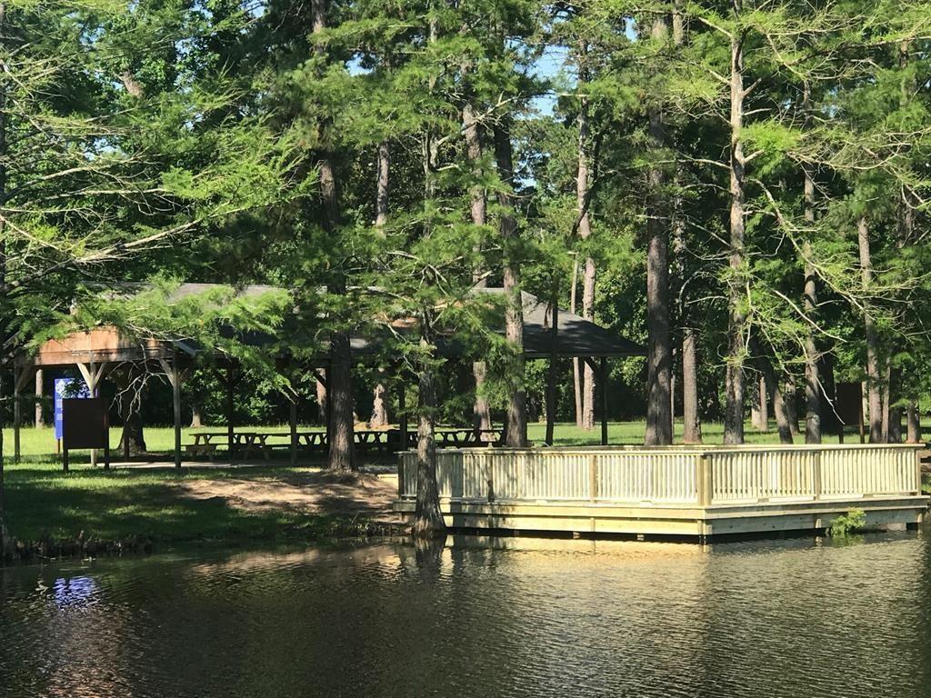 1048 Shoal Creek Trail, Conroe, Texas image 4