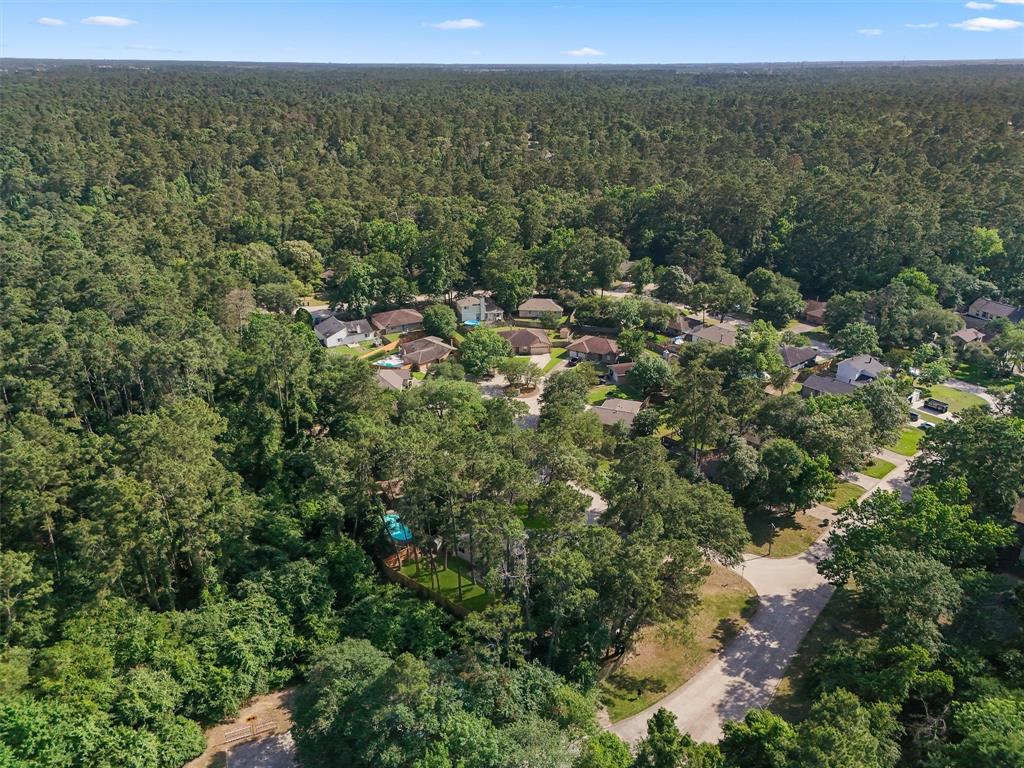 7 Starrush Court, The Woodlands, Texas image 27