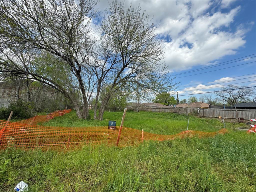 Delaware Street, Houston, Texas image 1