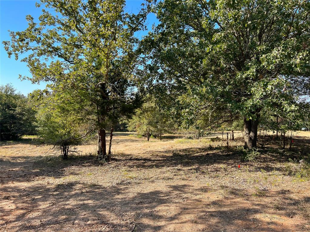 TBD Lcr 882, Jewett, Texas image 2
