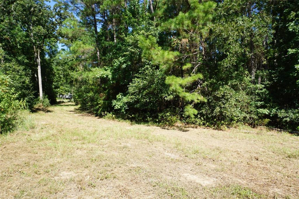 00 TBD Forest Circle, Montgomery, Texas image 4