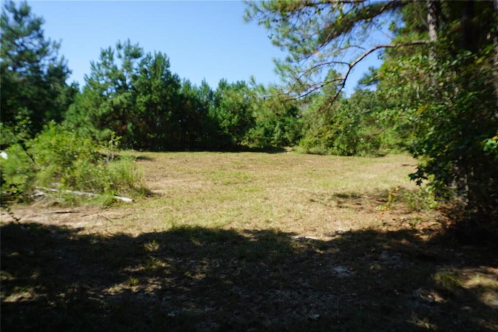 00 TBD Forest Circle, Montgomery, Texas image 5