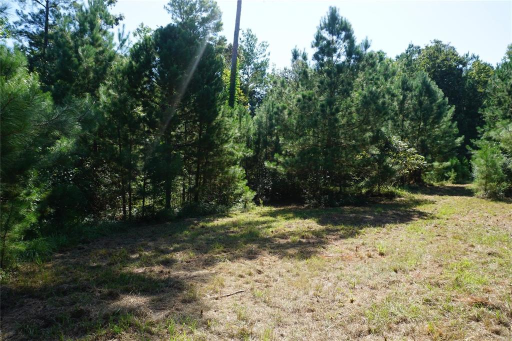 00 TBD Forest Circle, Montgomery, Texas image 6