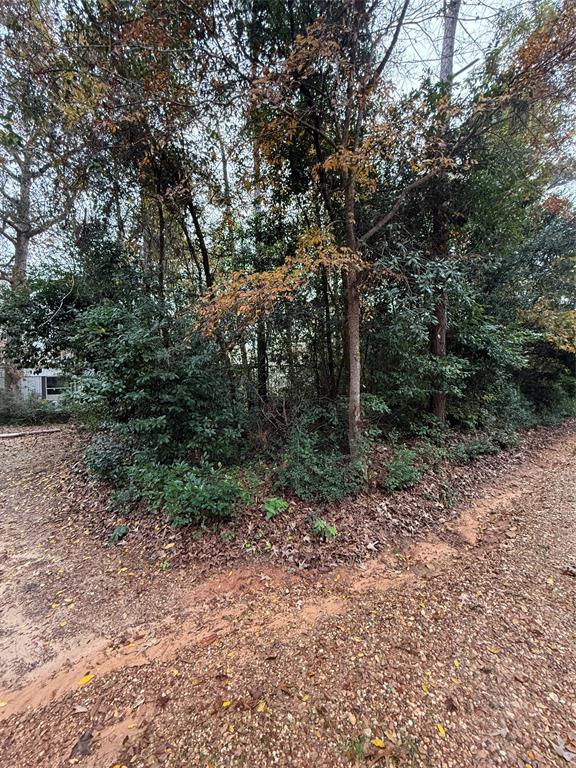 457 Fagan Drive, Livingston, Texas image 6