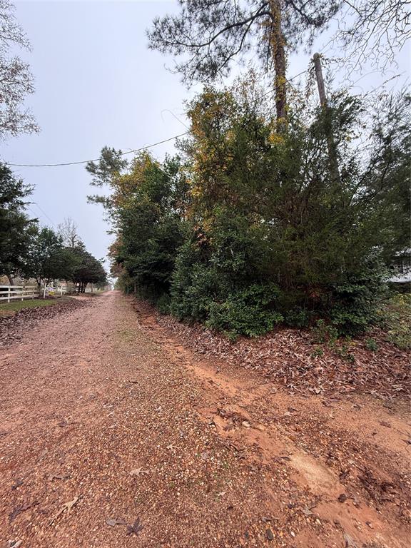 457 Fagan Drive, Livingston, Texas image 7