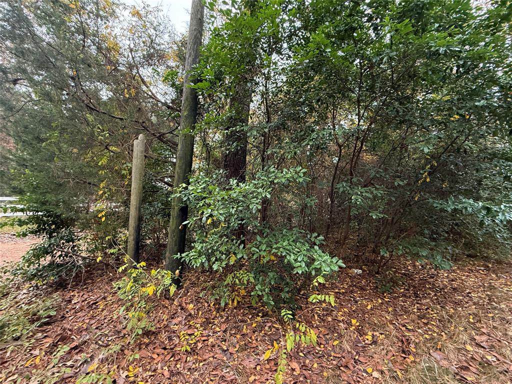 457 Fagan Drive, Livingston, Texas image 12