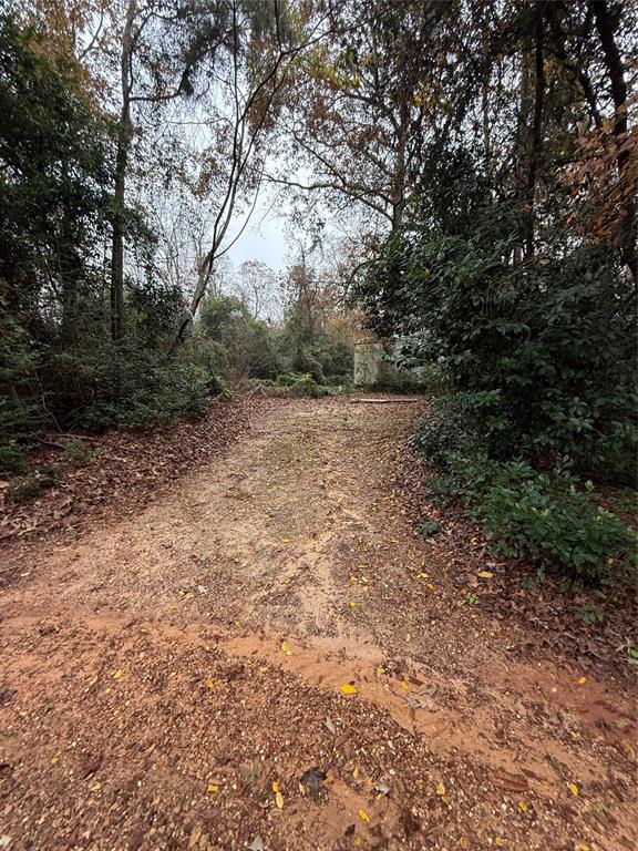 457 Fagan Drive, Livingston, Texas image 1