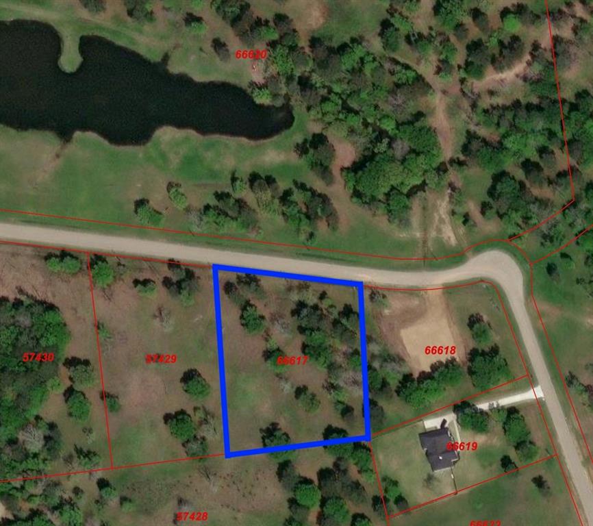 Dahlia Road, Huntsville, Texas image 4