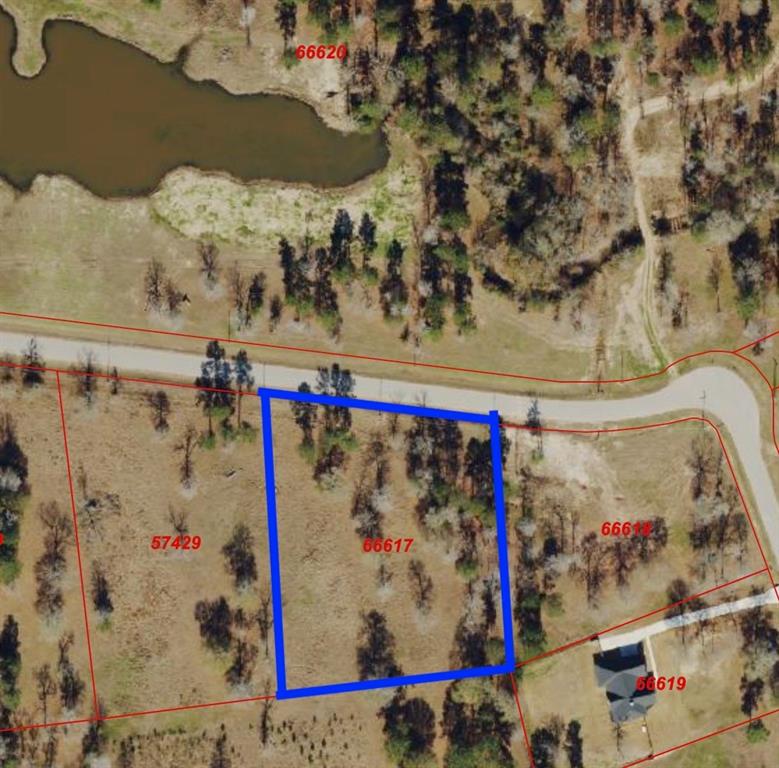 Dahlia Road, Huntsville, Texas image 5