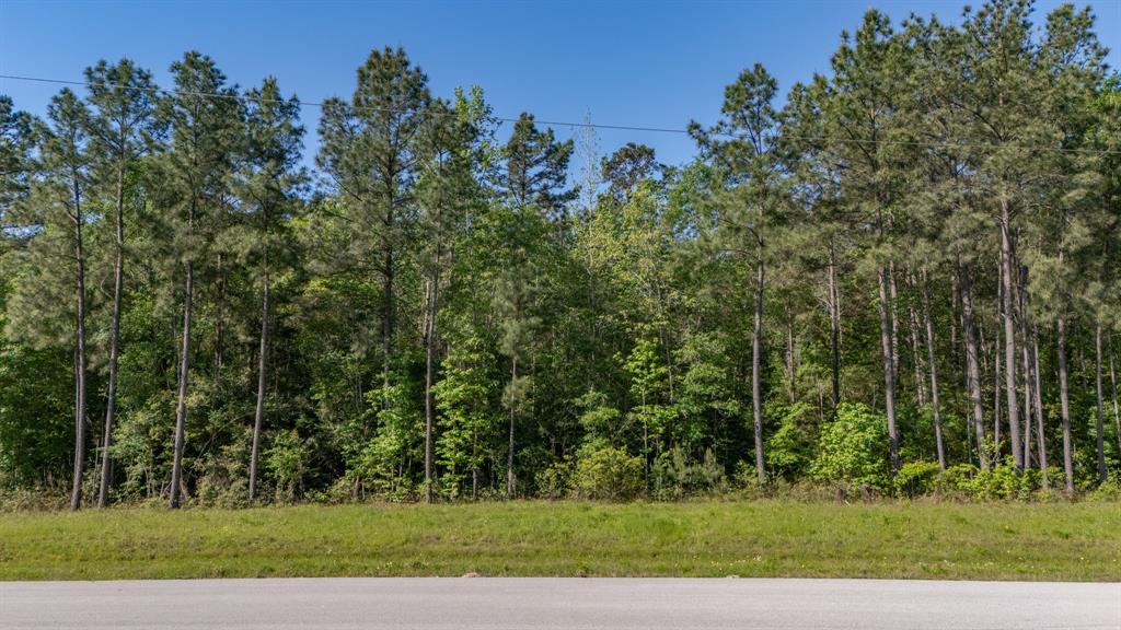 1 Bighorn Road, Huntsville, Texas image 6