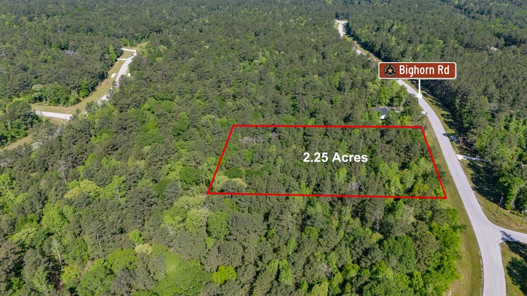1 Bighorn Road, Huntsville, Texas image 4
