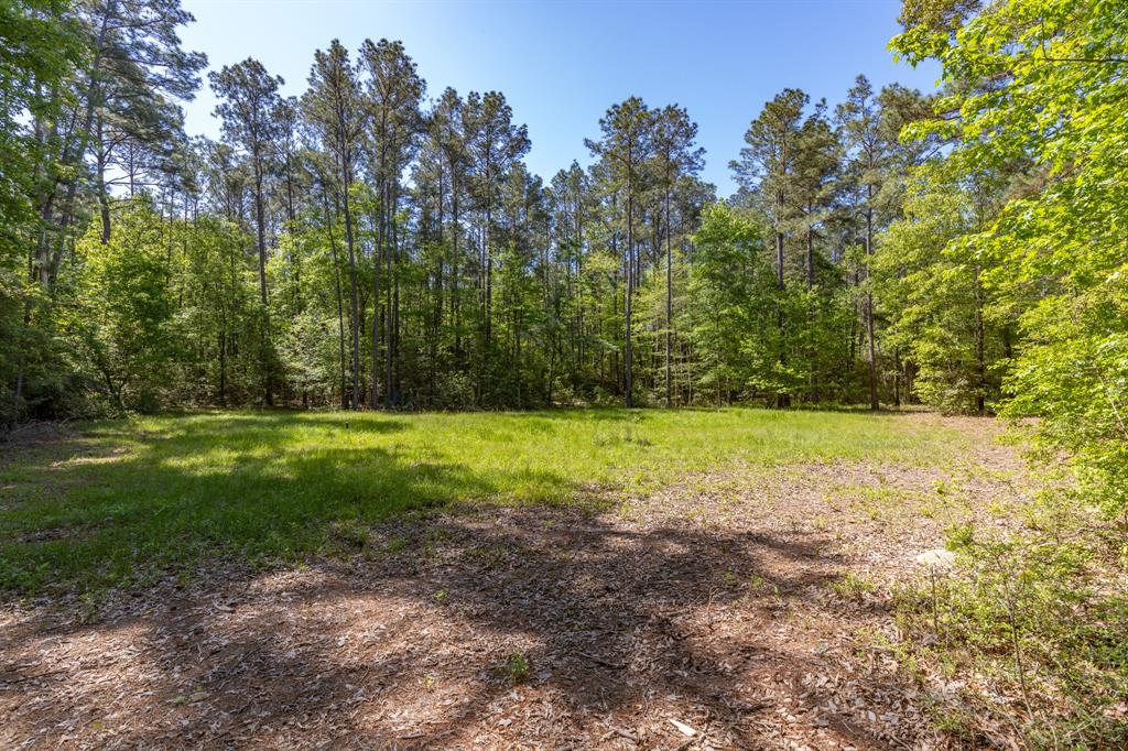 1 Bighorn Road, Huntsville, Texas image 18