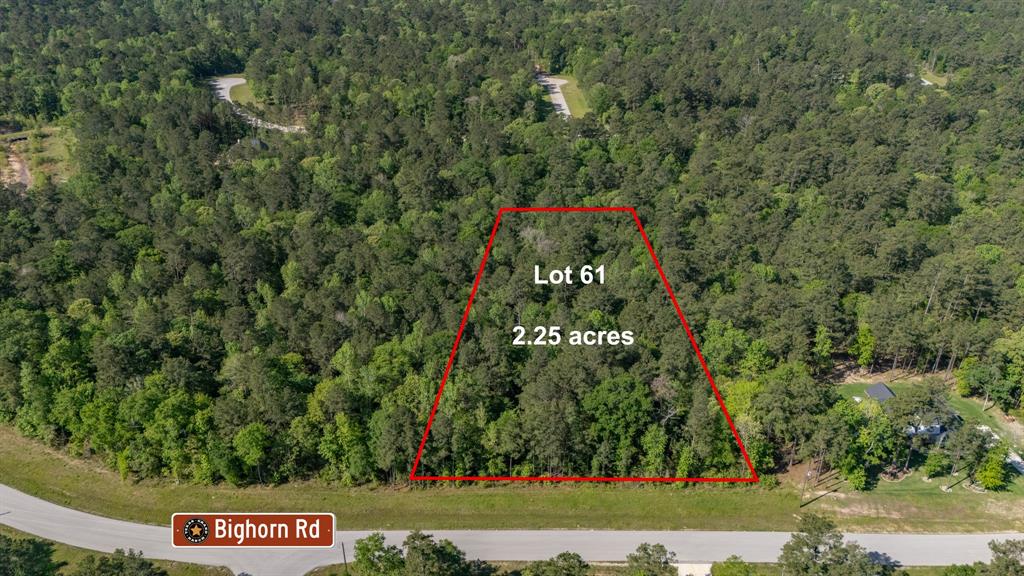 1 Bighorn Road, Huntsville, Texas image 1