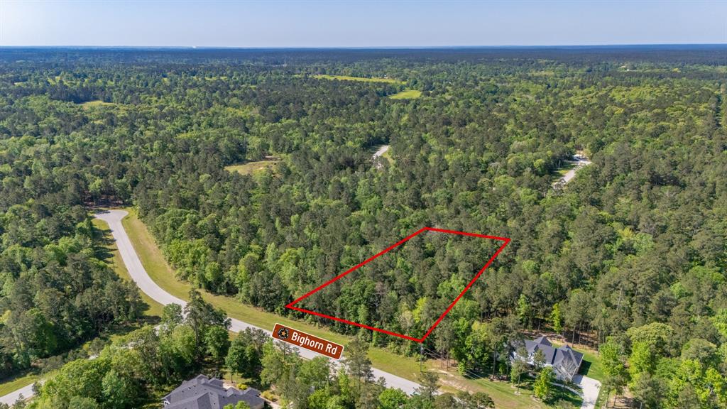 1 Bighorn Road, Huntsville, Texas image 2
