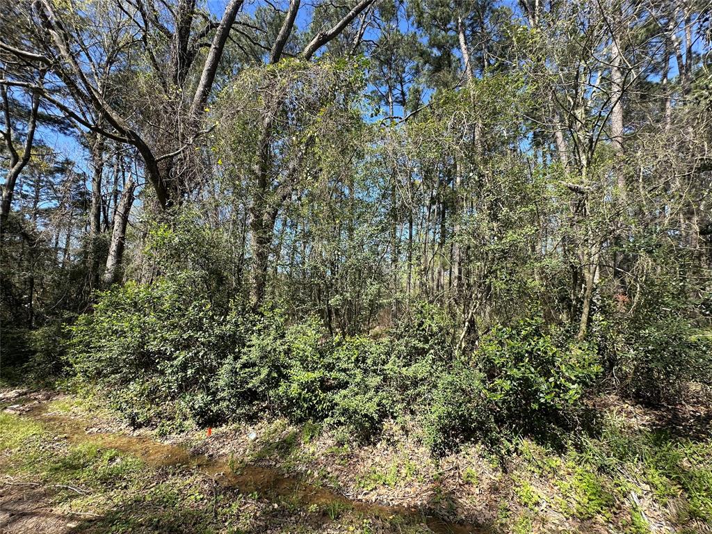 518 Old Magnolia Road, Conroe, Texas image 3
