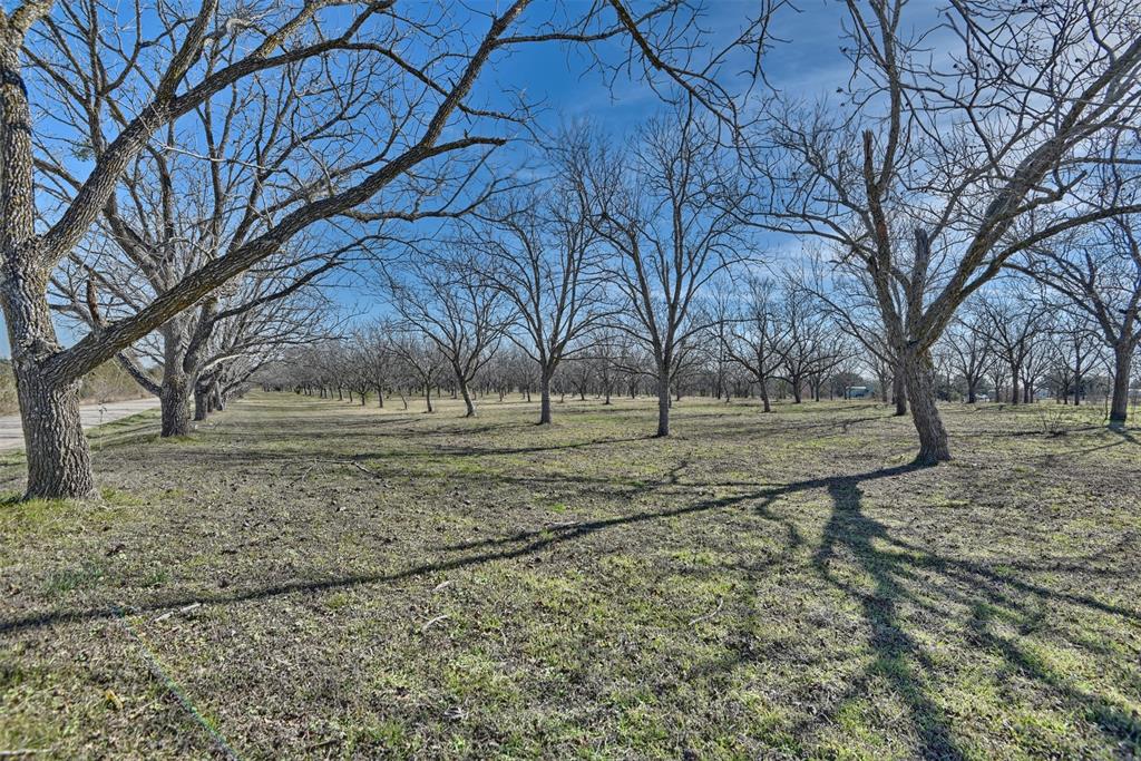 00 Fm 50, Brenham, Texas image 3