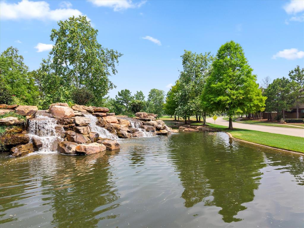 18118 Berry Garden Lane, Spring, Texas image 44