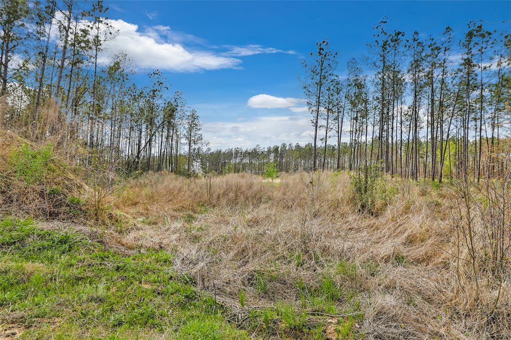 6028 Road 5897, Cleveland, Texas image 5