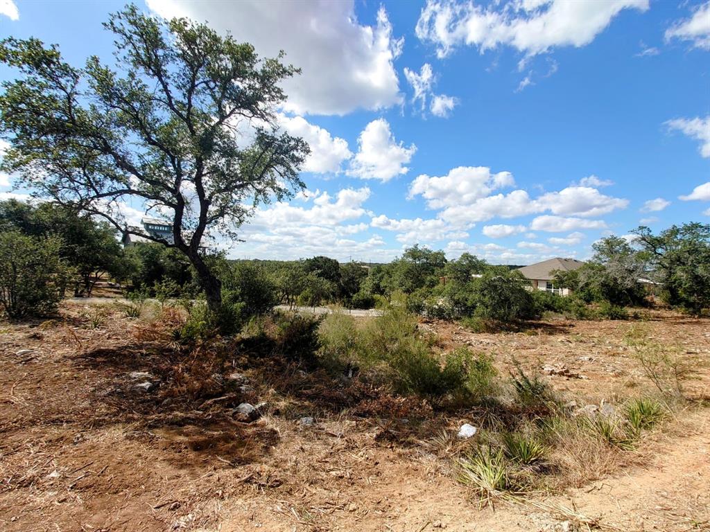 1102 Cliffview Drive, Spicewood, Texas image 10