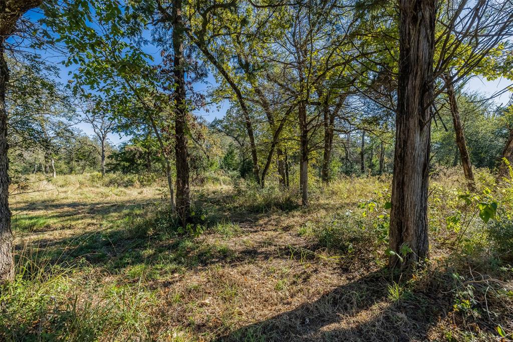 5197 Farm To Market 1469, Marquez, Texas image 9