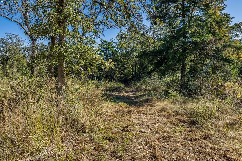 5197 Farm To Market 1469, Marquez, Texas image 8