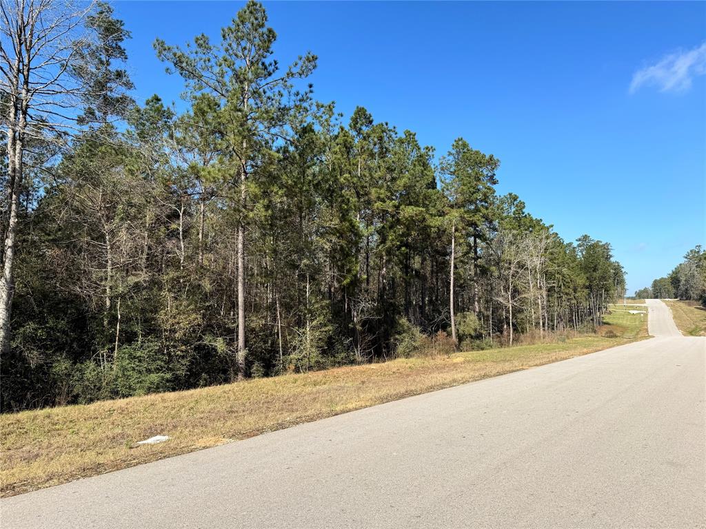 15577 Republic Park Trail, Willis, Texas image 9