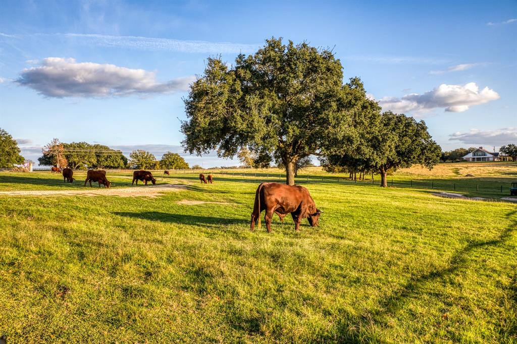 2900-2902 Indian Paint Brush Road, Brenham, Texas image 44