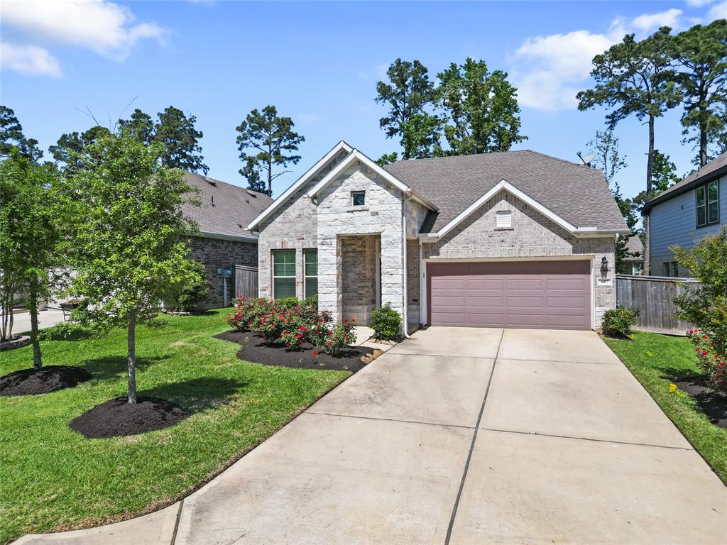 127 Winged Elm Court, Conroe, Texas image 1